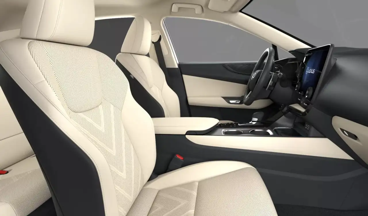 Lexus NX 6