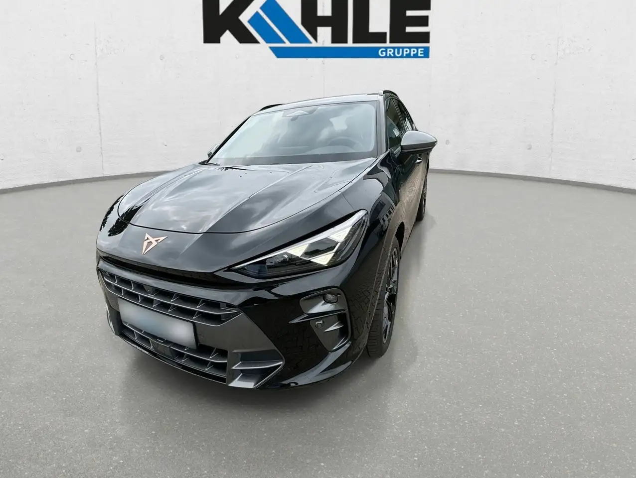 Cupra Terramar 4