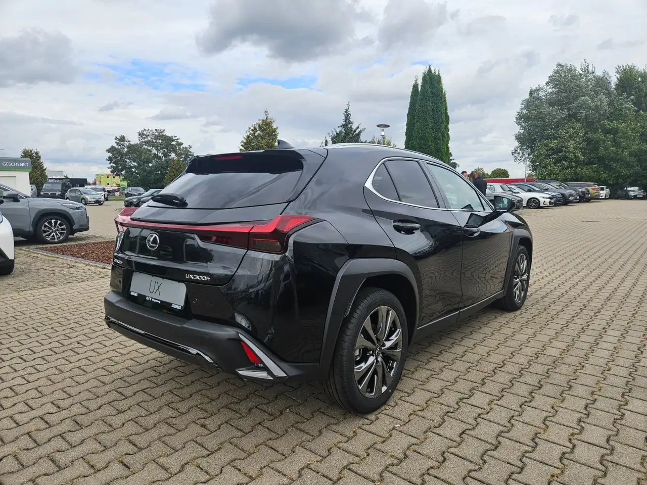 Lexus UX 10