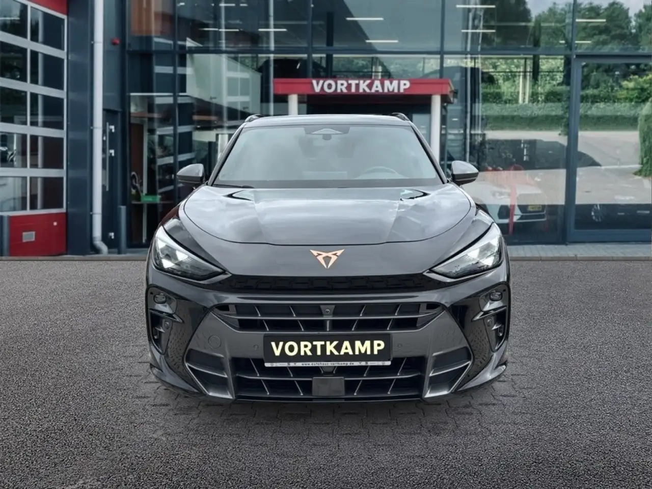 Cupra Terramar 2