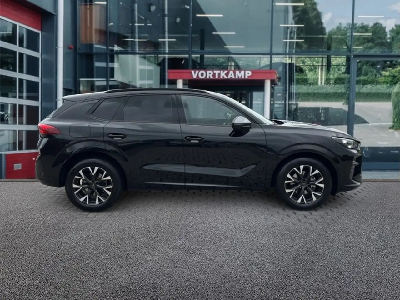 Cupra Terramar 4