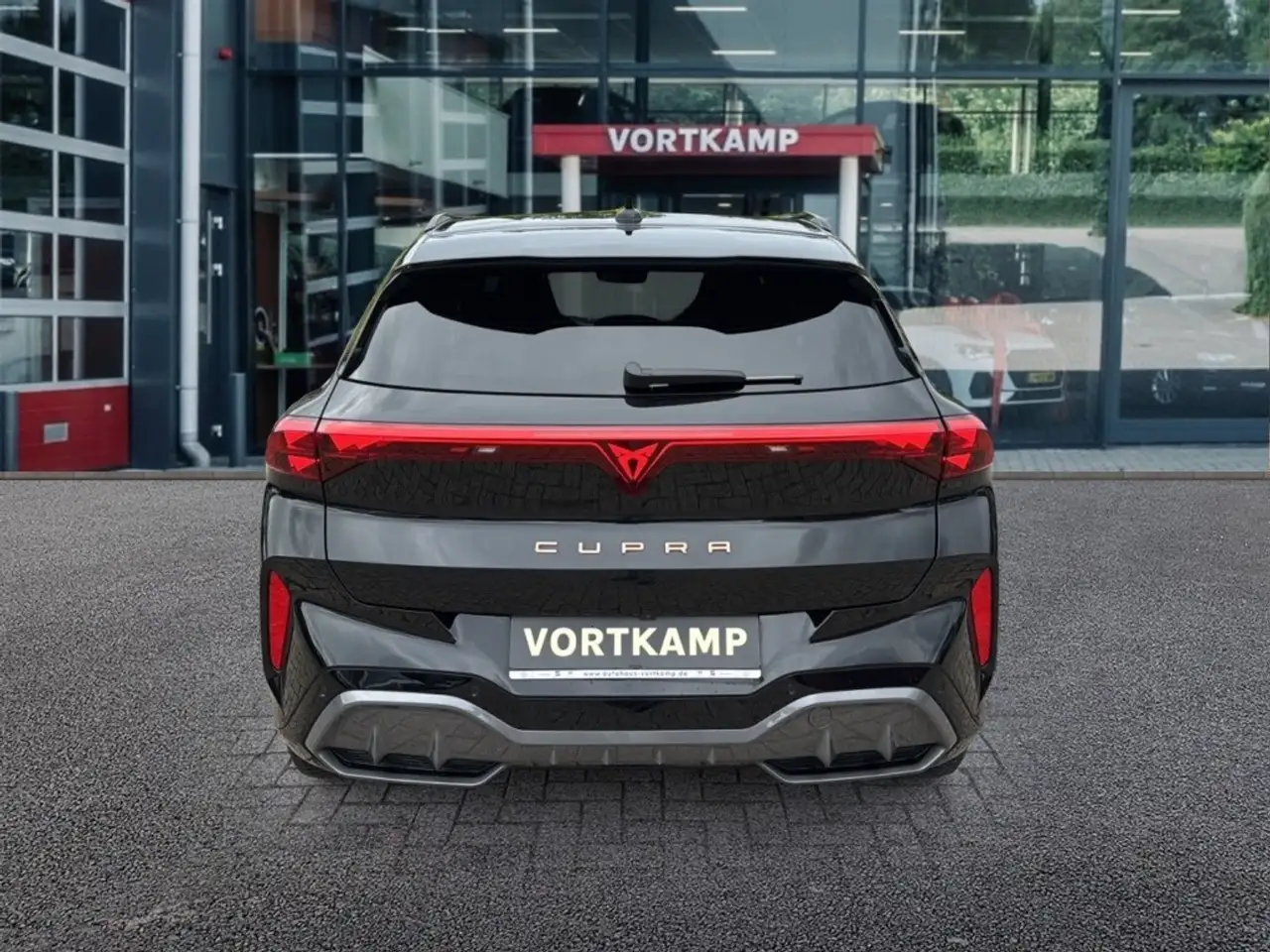 Cupra Terramar 6