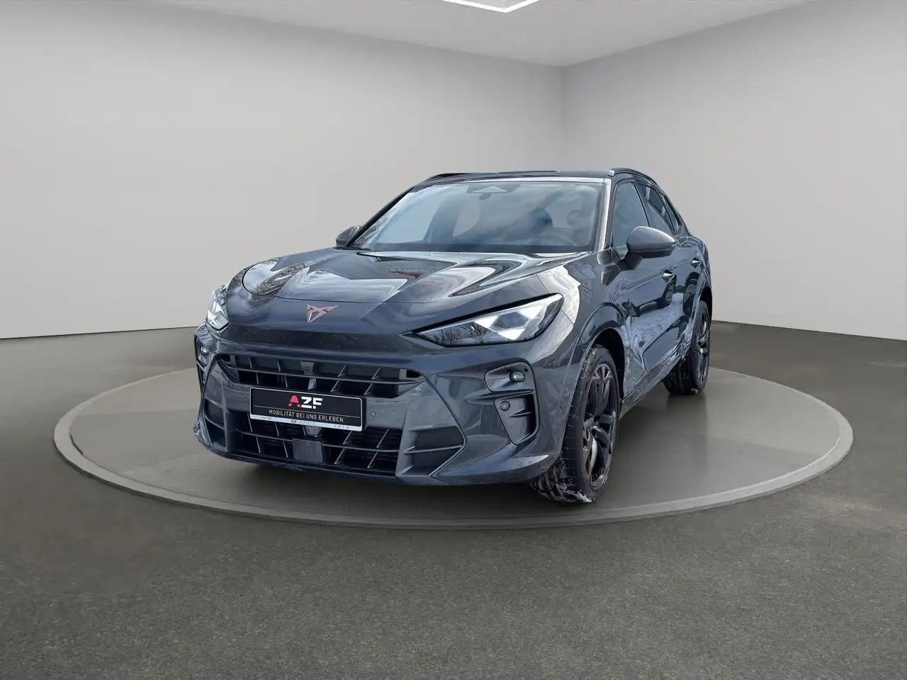 Cupra Terramar 2