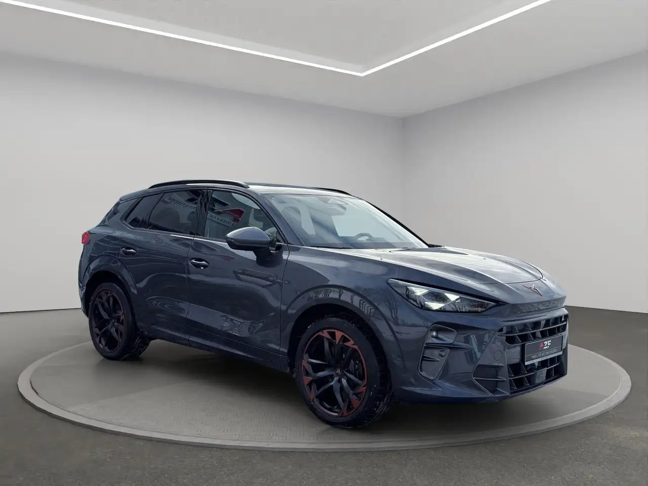 Cupra Terramar 3