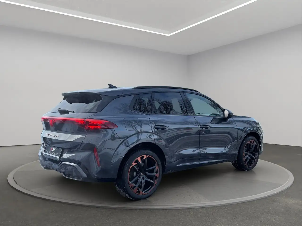 Cupra Terramar 4