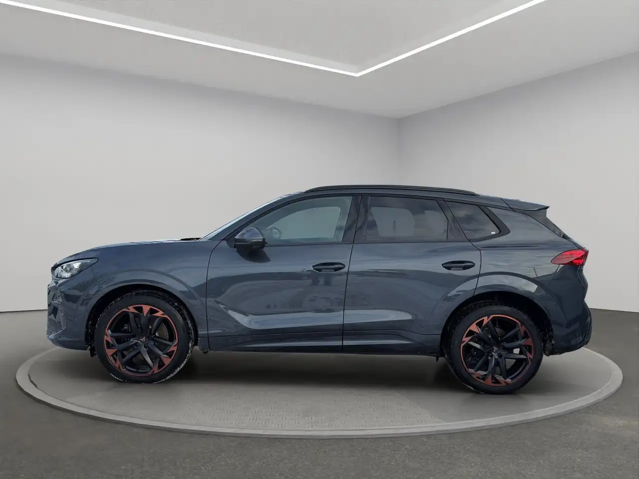 Cupra Terramar 5