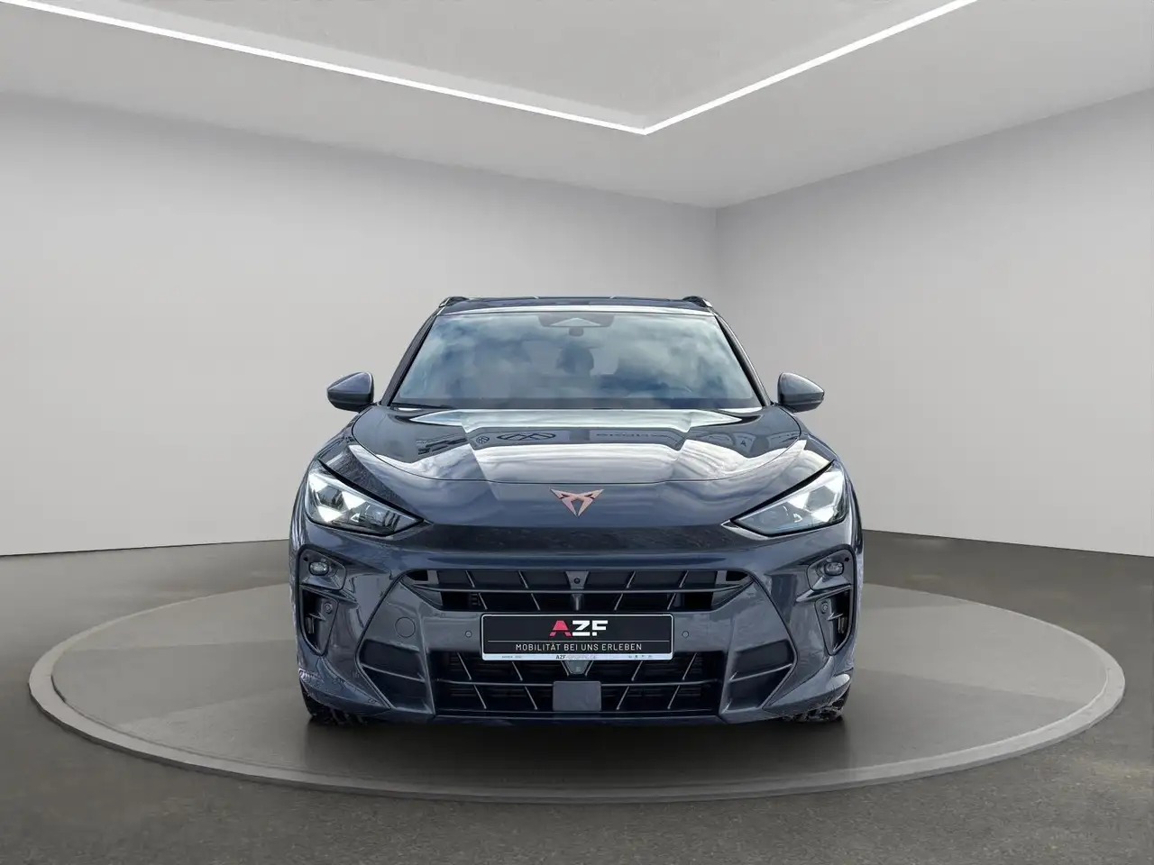 Cupra Terramar 6