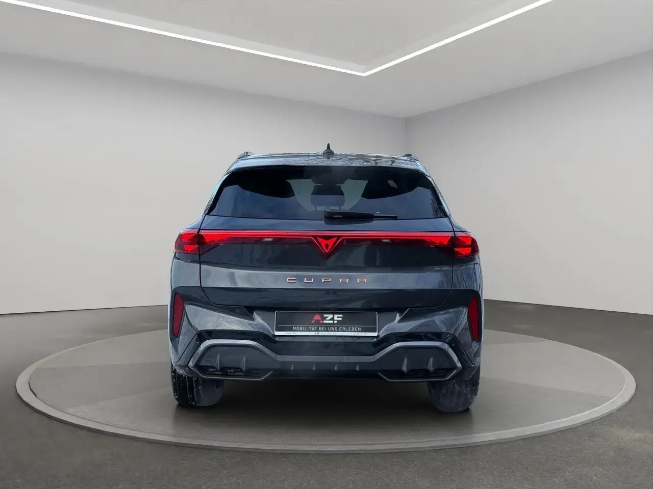 Cupra Terramar 7