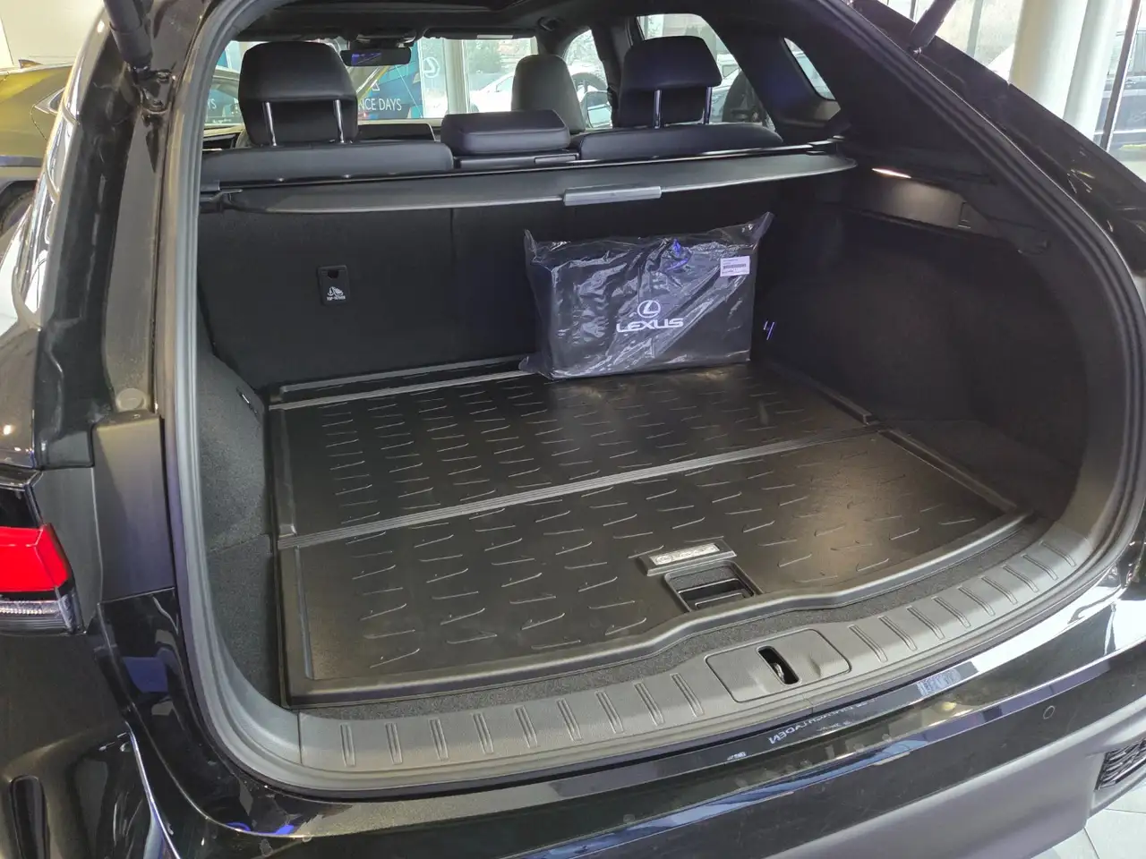 Lexus RX 350 13