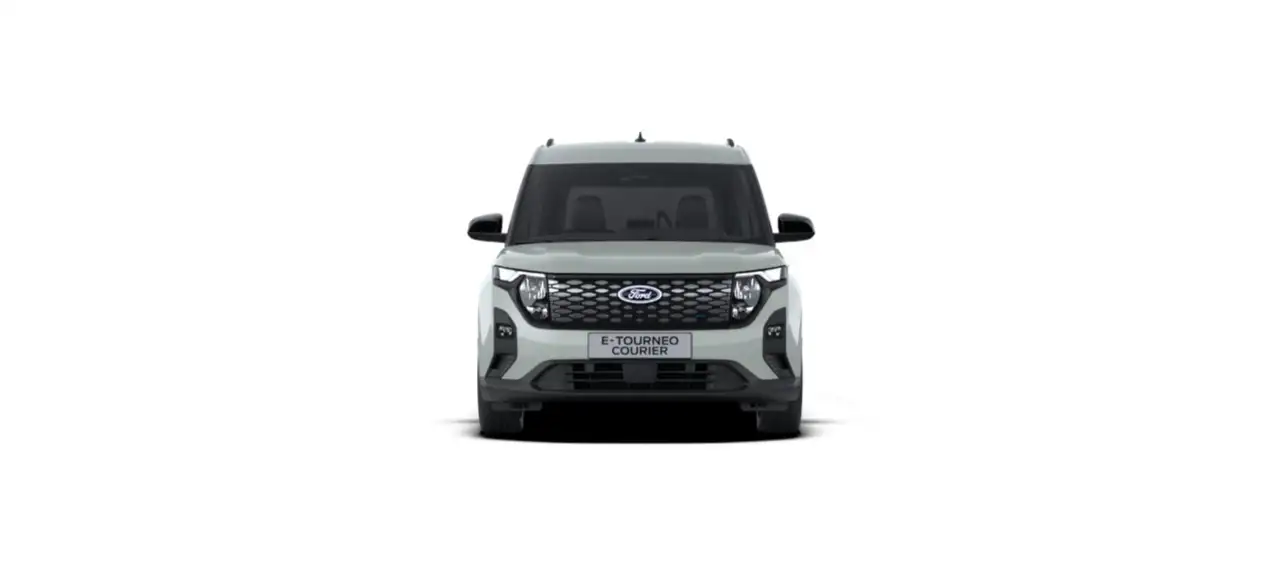 Ford Tourneo 7