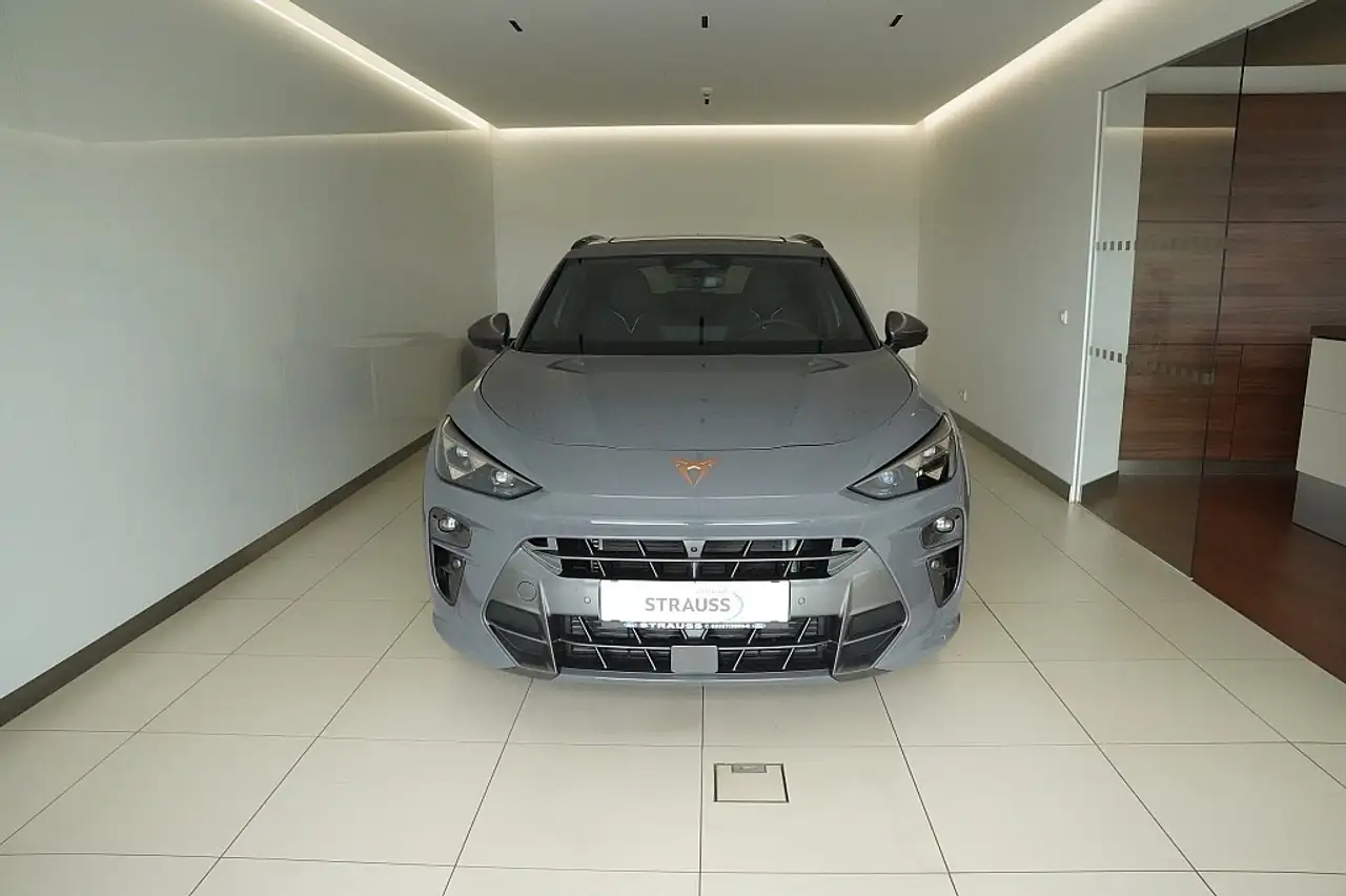 Cupra Terramar 2