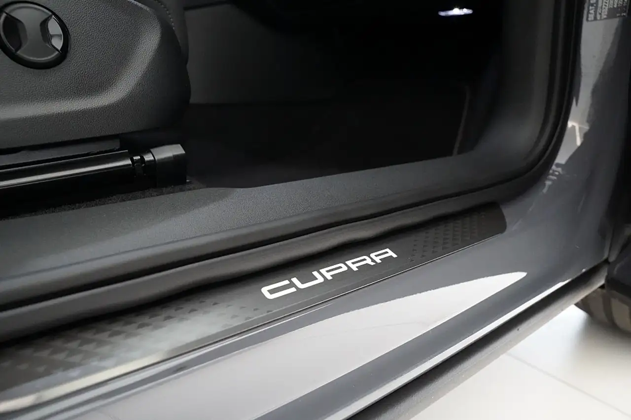 Cupra Terramar 7