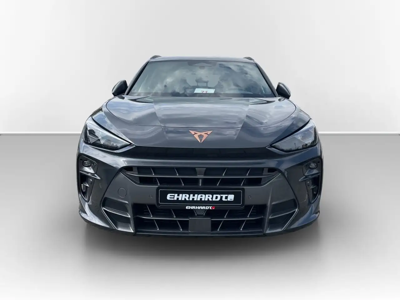 Cupra Terramar 2