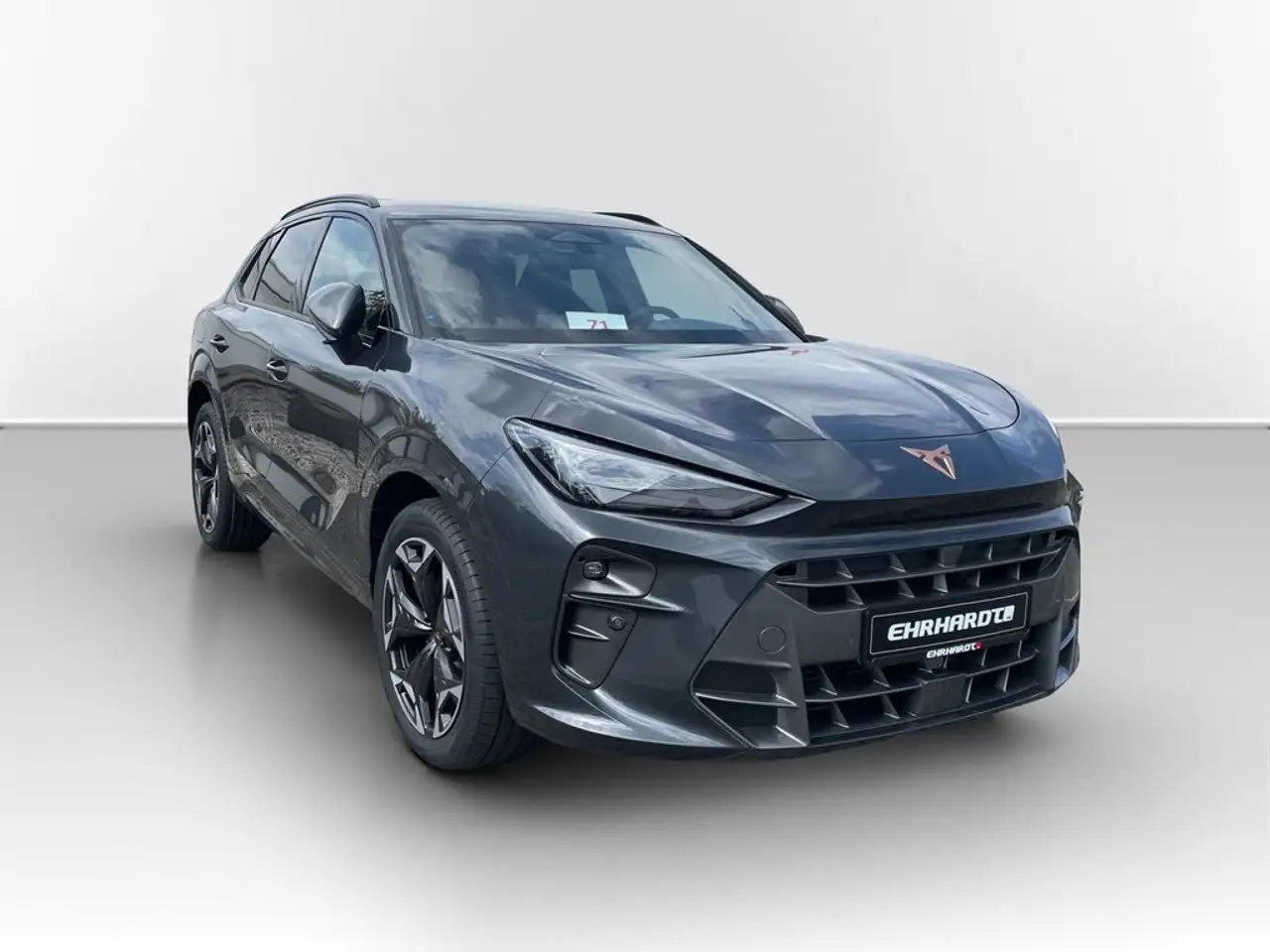 Cupra Terramar 3