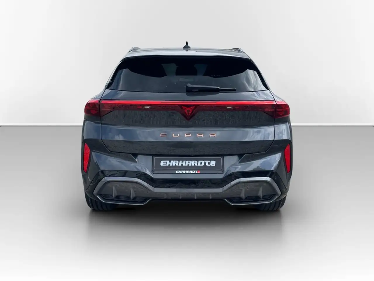 Cupra Terramar 6