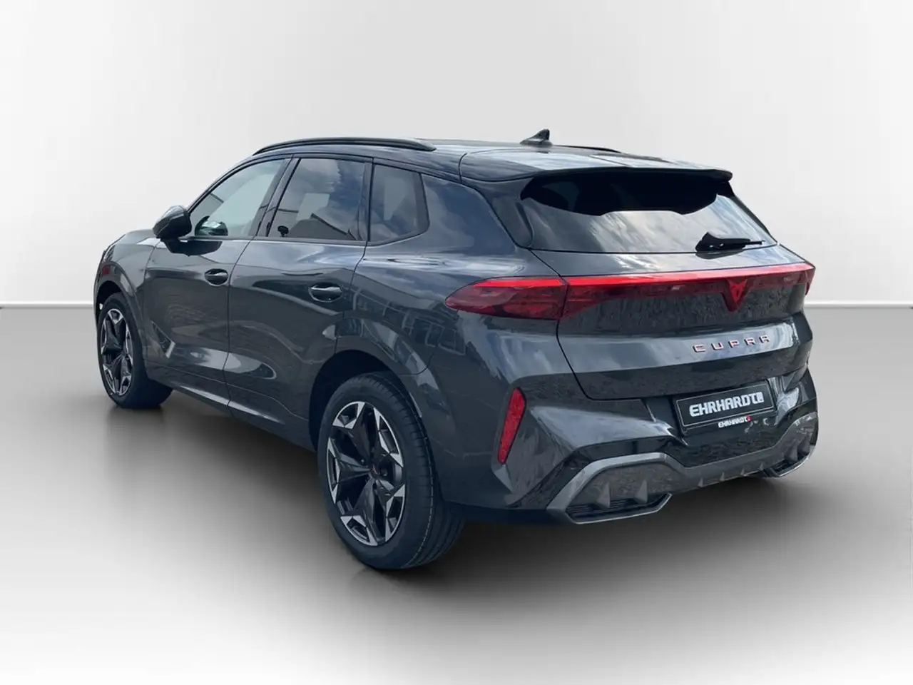 Cupra Terramar 7