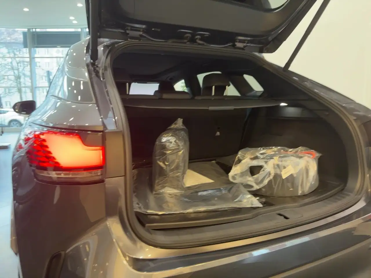 Lexus RX 9