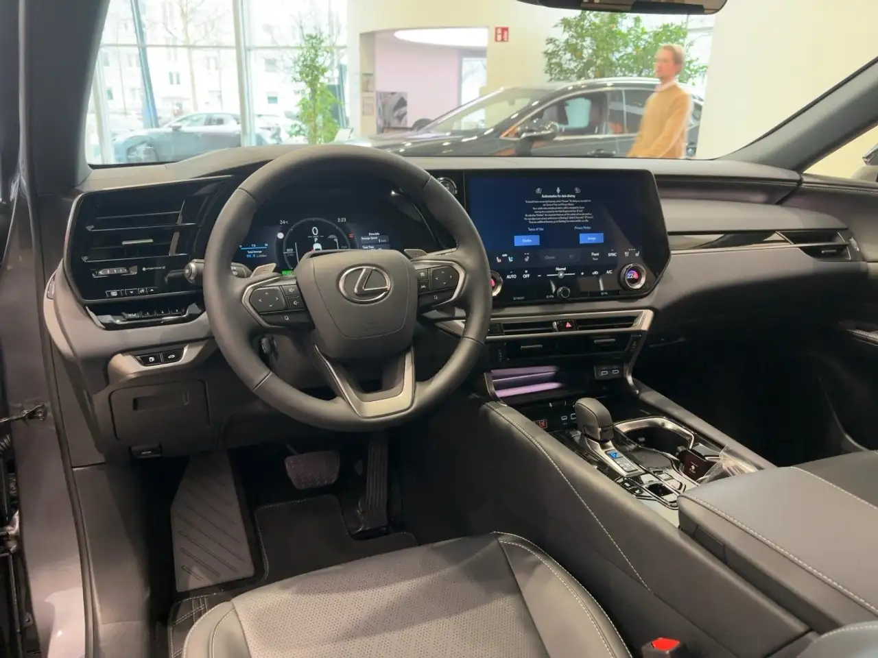 Lexus RX 12