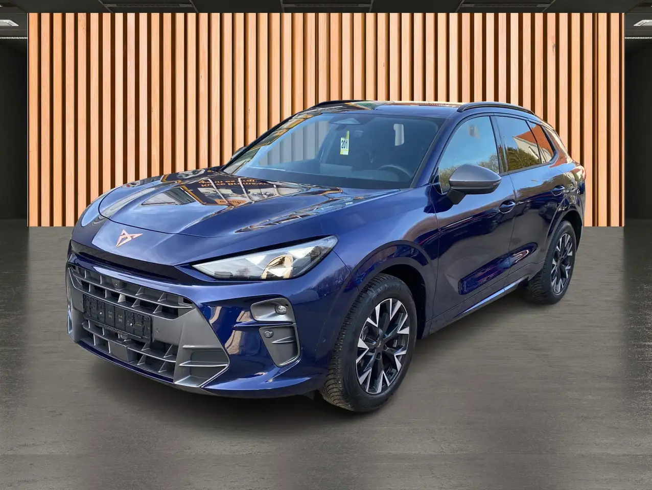 Cupra Terramar 2