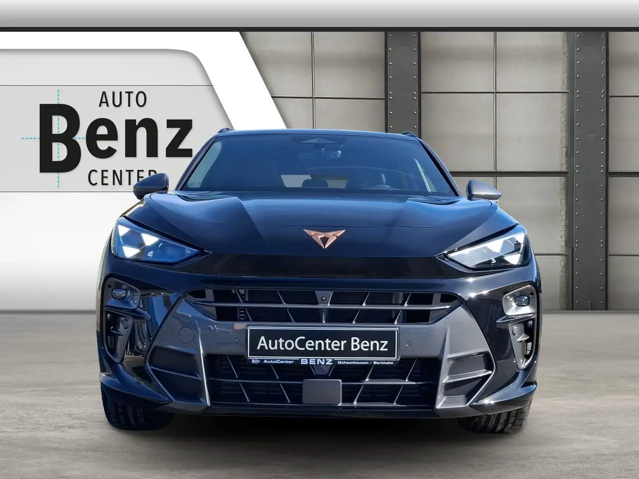 Cupra Terramar 8