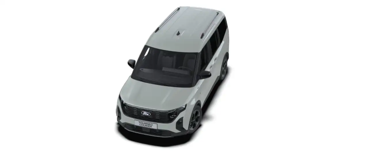 Ford Tourneo 4