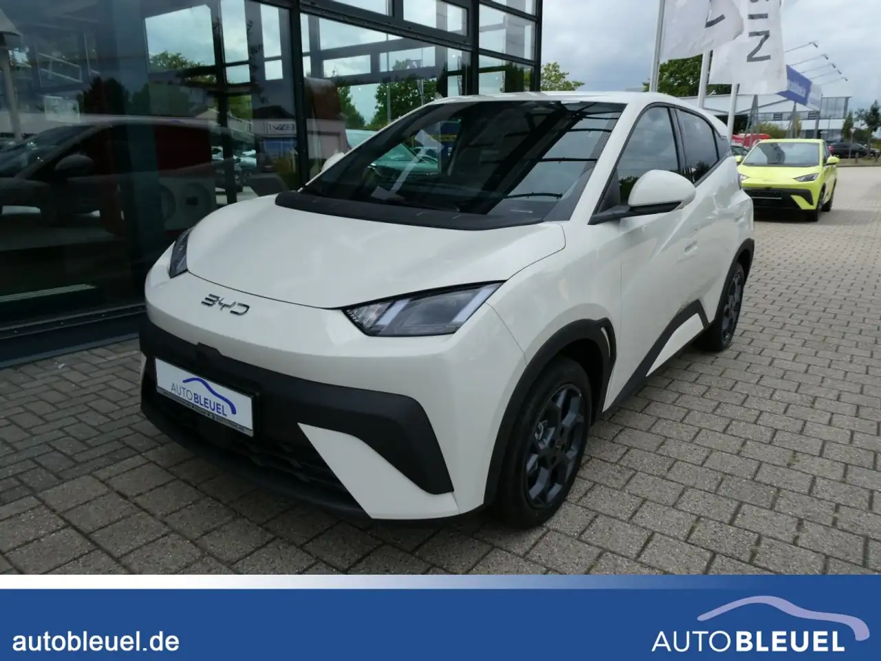 BYD Dolphin