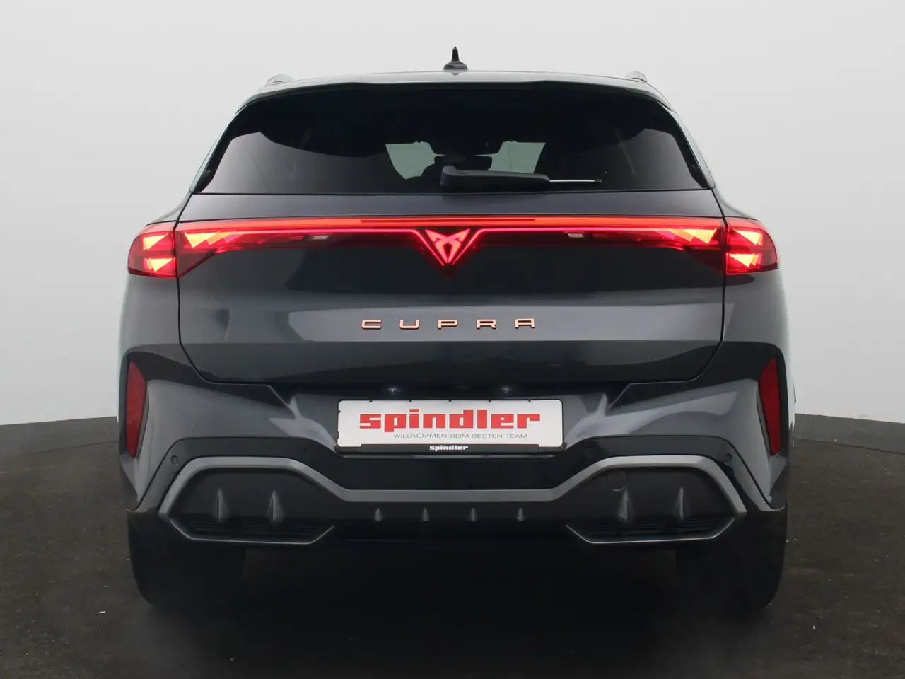 Cupra Terramar 6