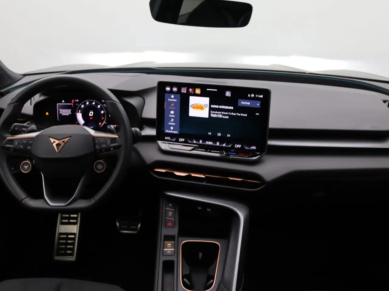 Cupra Terramar 8