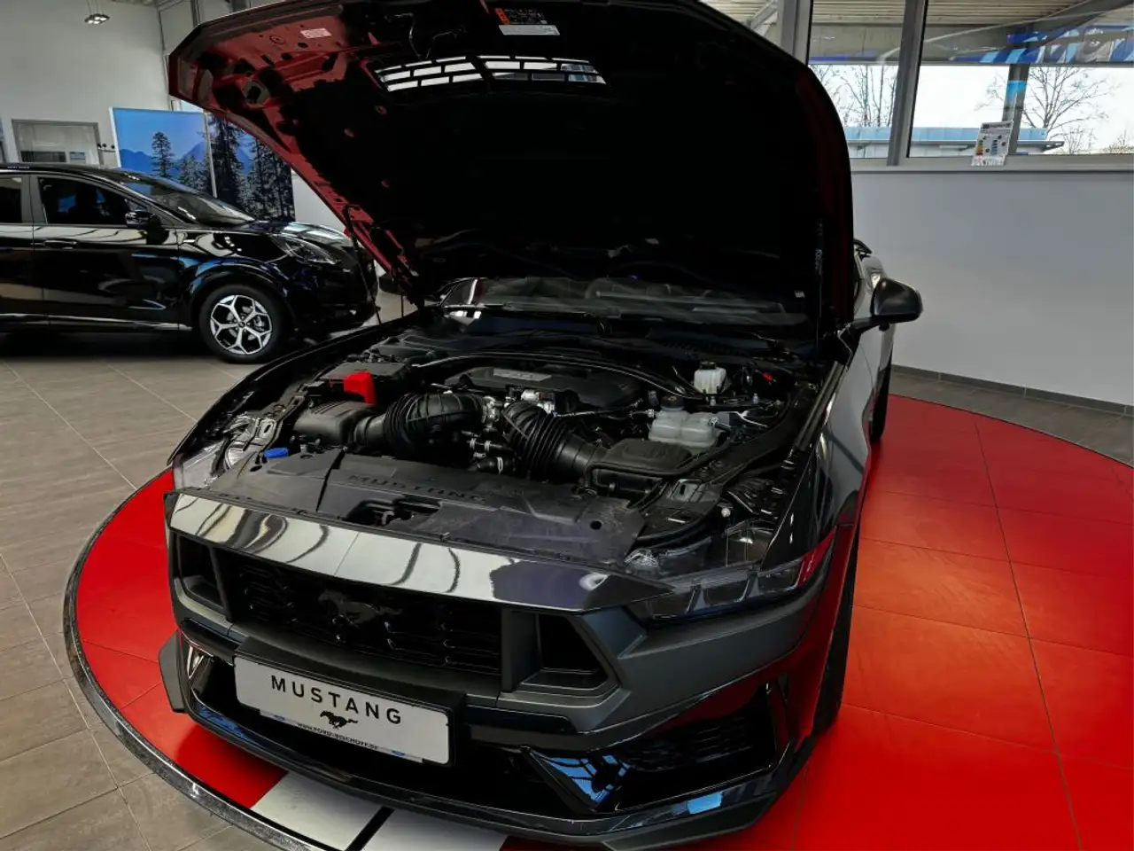 Ford Mustang 8