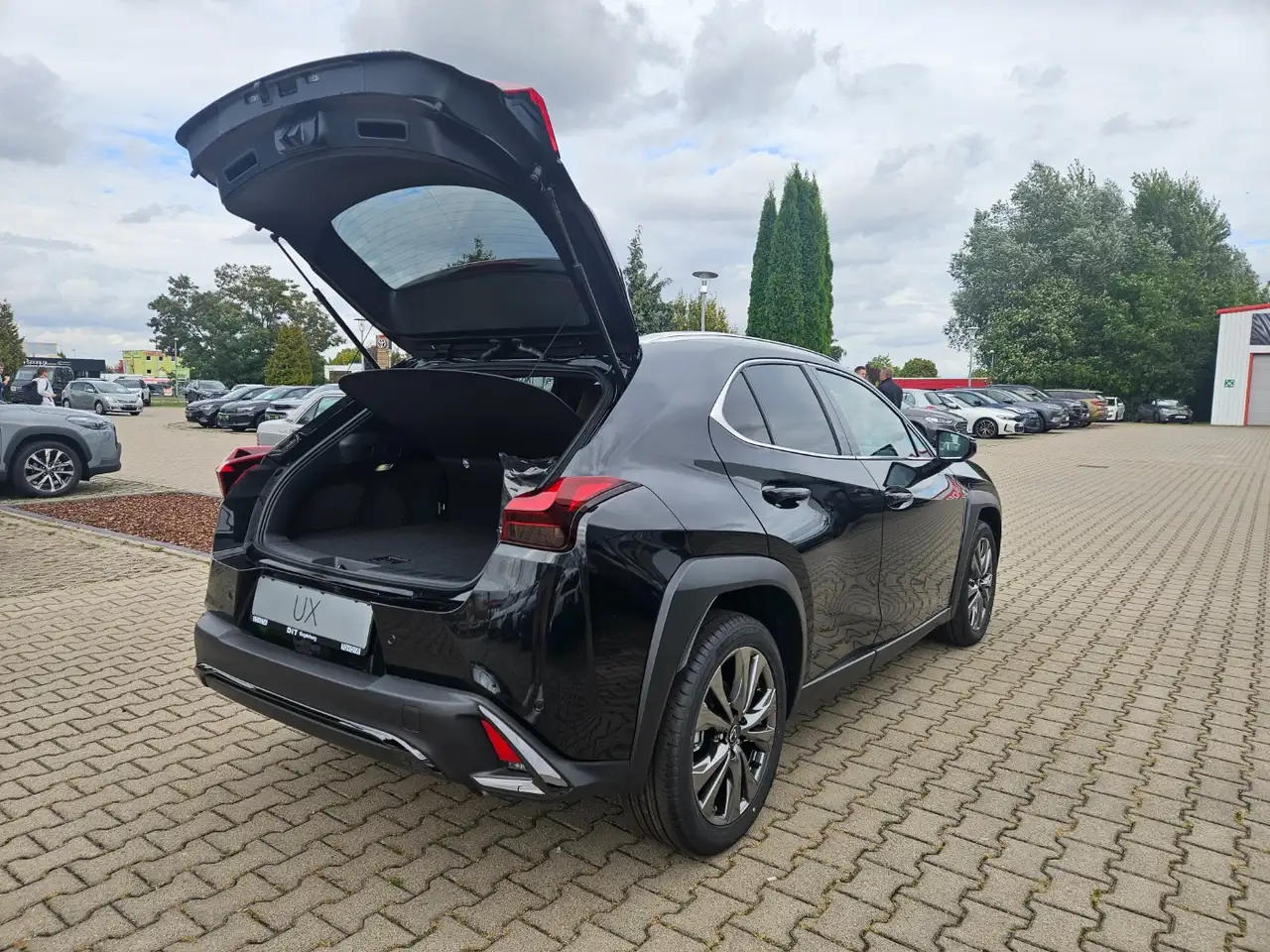 Lexus UX 10