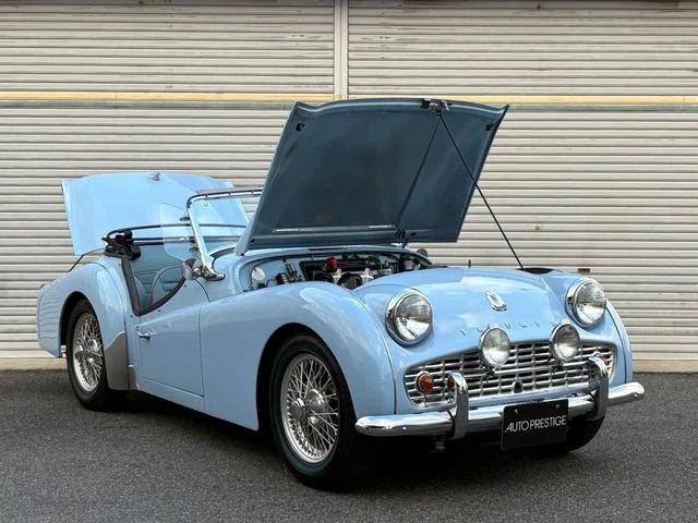 Triumph TR-3 13