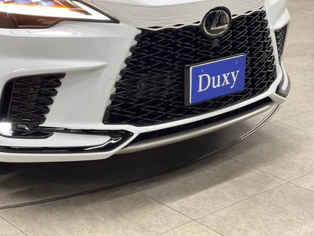 Lexus RX 22