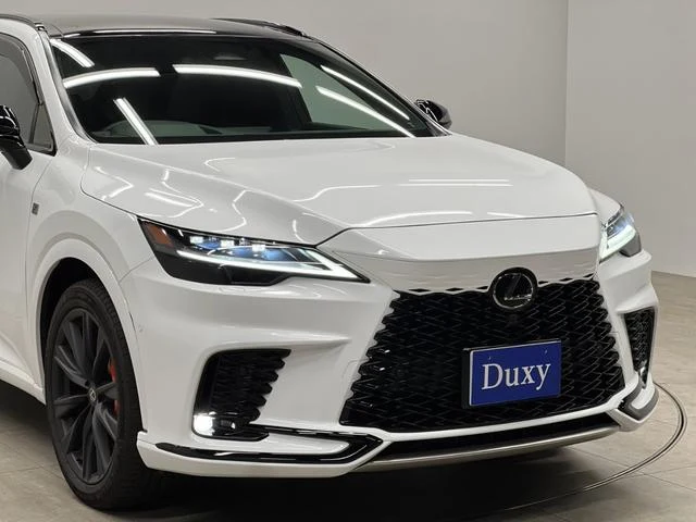 Lexus RX 18