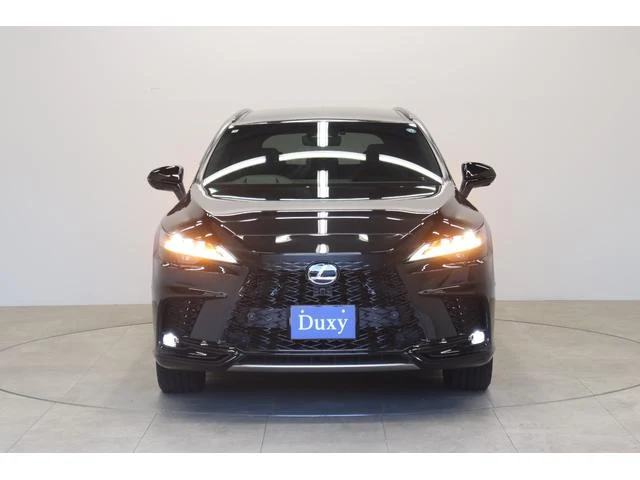 Lexus RX 12