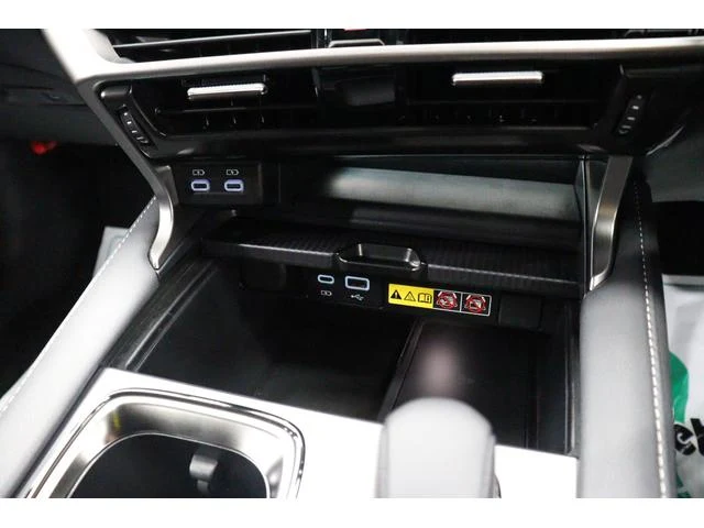 Lexus RX 59