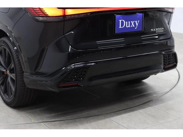 Lexus RX 36