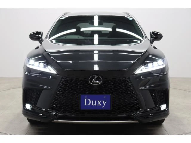 Lexus RX 23