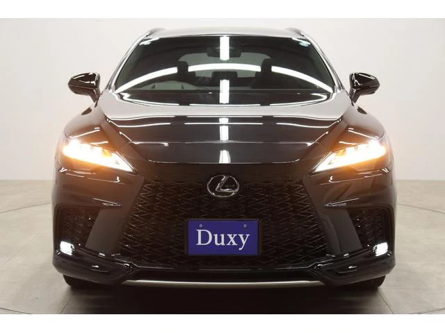Lexus RX 24
