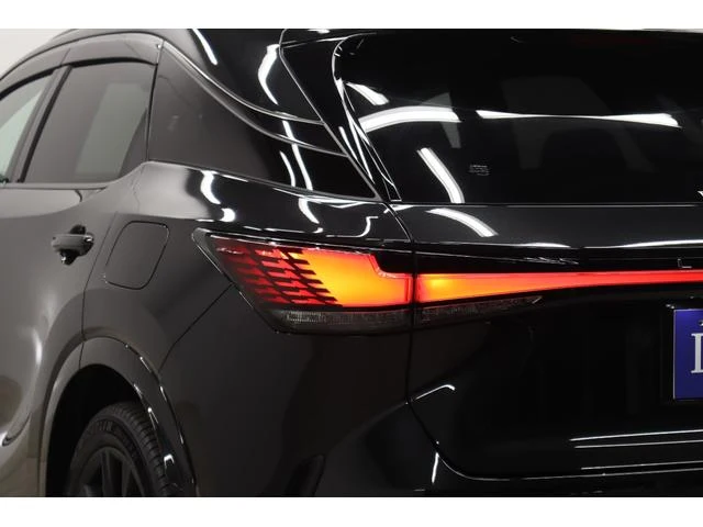 Lexus RX 34