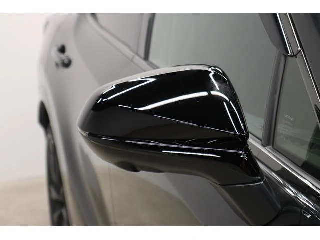 Lexus RX 26