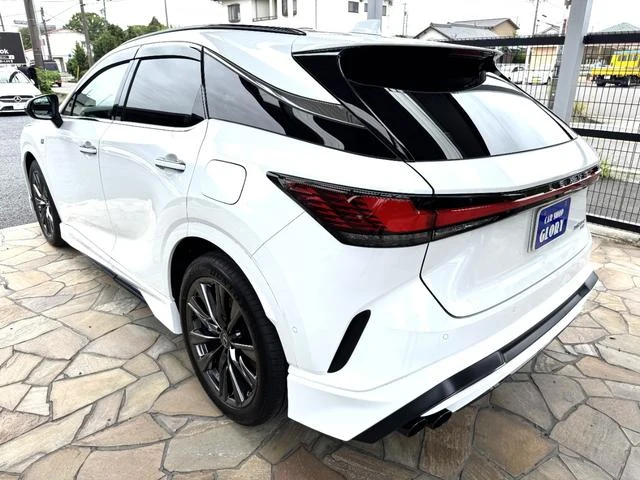 Lexus RX 6