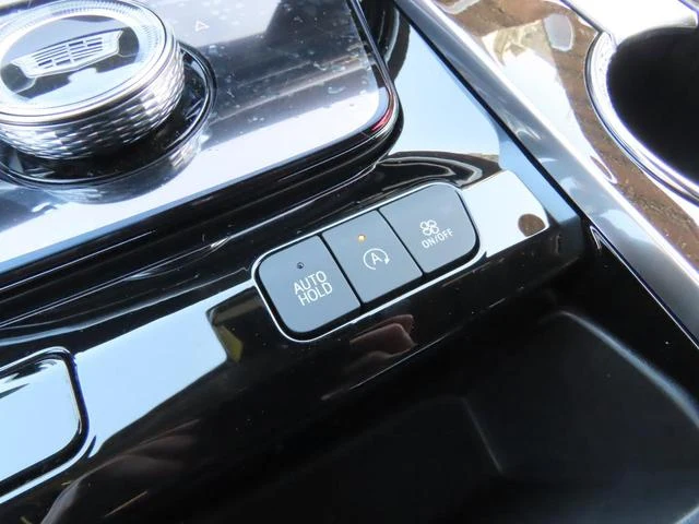 Cadillac ESCALADE 51