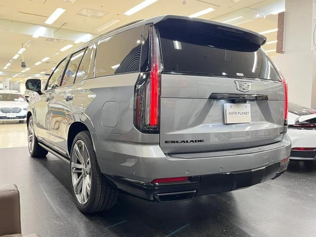 Cadillac ESCALADE 59