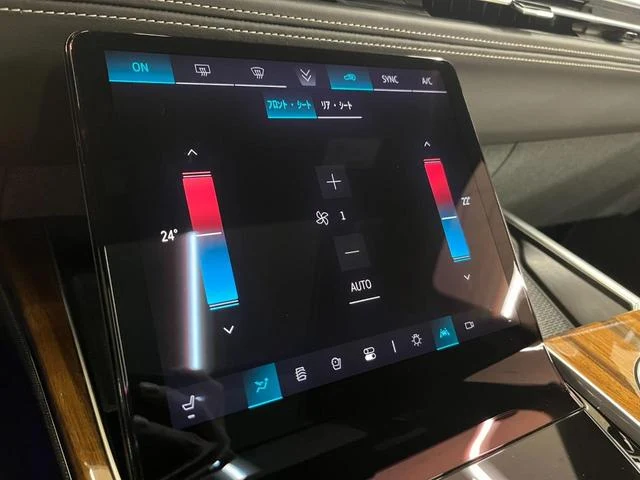 Cadillac ESCALADE 19