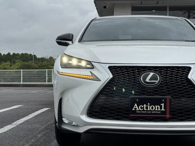 Lexus NX 59