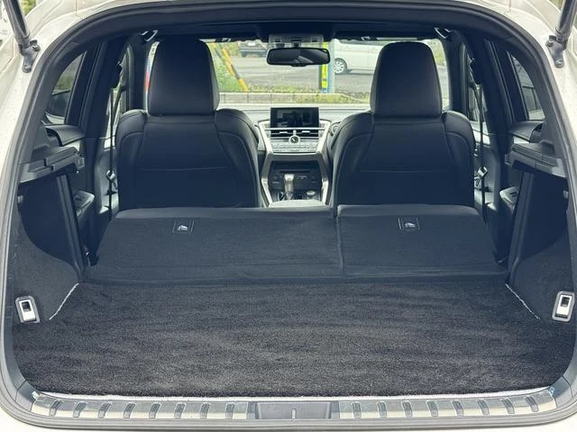 Lexus NX 50