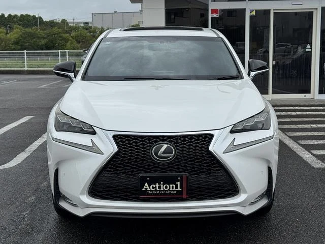 Lexus NX 51