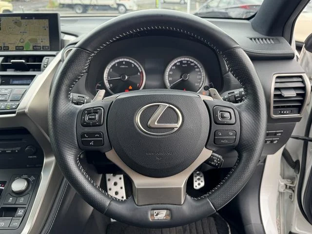 Lexus NX 13