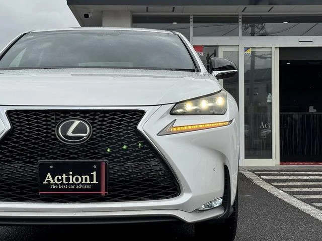 Lexus NX 60