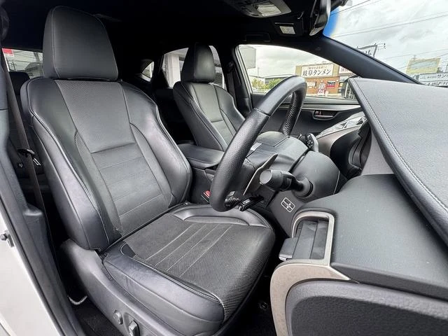 Lexus NX 38